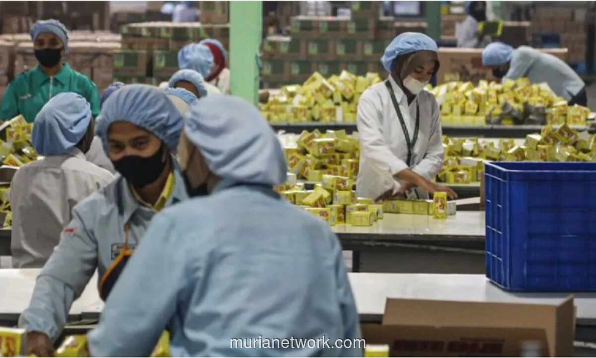 BPS: Pengangguran Turun, Namun Kualitas Pekerjaan dan Upah Masih Jadi Tantangan