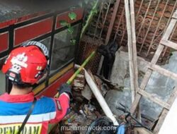 Petugas Damkar Jakarta Utara Evakuasi Anjing Terjepit di Pagar dalam 20 Menit