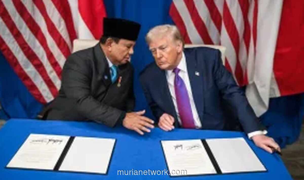 AS Kenakan Tarif Hingga 143% untuk Panel Surya Impor dari Indonesia, India, dan Laos