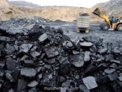 Asosiasi Pertambangan Desak Pemerintah Kaji Ulang Penurunan Kuota Batu Bara dan Nikel 2026