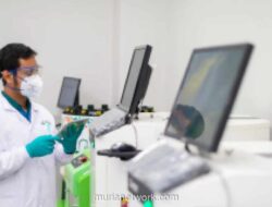 Avian Brands Catat Pendapatan Rp8,1 Triliun dan Laba Bersih Rp1,7 Triliun di 2025