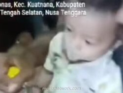 Polisi Selidiki Ayah di TTS yang Beri Miras Sapi pada Bayi 11 Bulan