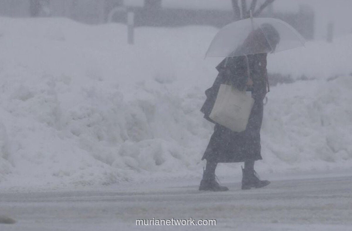 Badai Salju Jepang Tewaskan 46 Orang, 604 Luka-luka