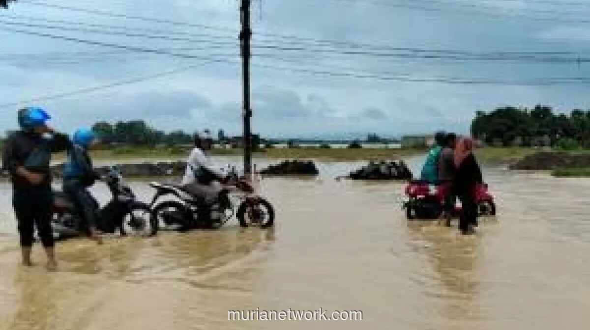 Banjir Sungai Cacaban Rendam Ratusan Rumah di Kabupaten Tegal