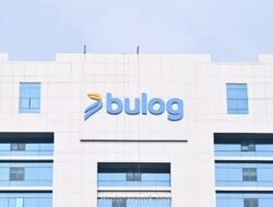 Pemerintah Rencanakan Penggabungan Bapanas ke dalam Bulog dalam Revisi UU Pangan