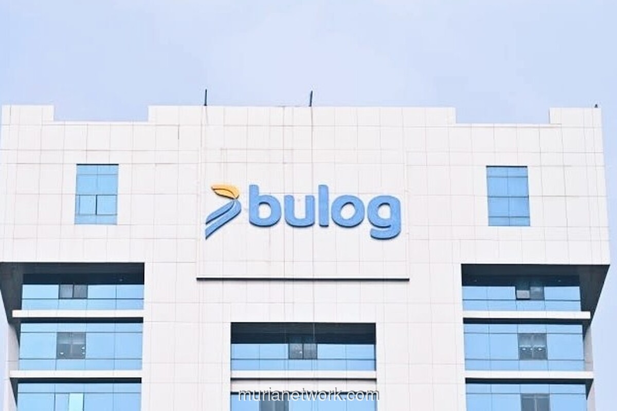 Pemerintah Rencanakan Penggabungan Bapanas ke dalam Bulog dalam Revisi UU Pangan