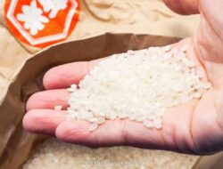 Pemerintah Salurkan Bantuan Beras dan Minyak Goreng ke 33,2 Juta Penerima Jelang Ramadan 2026