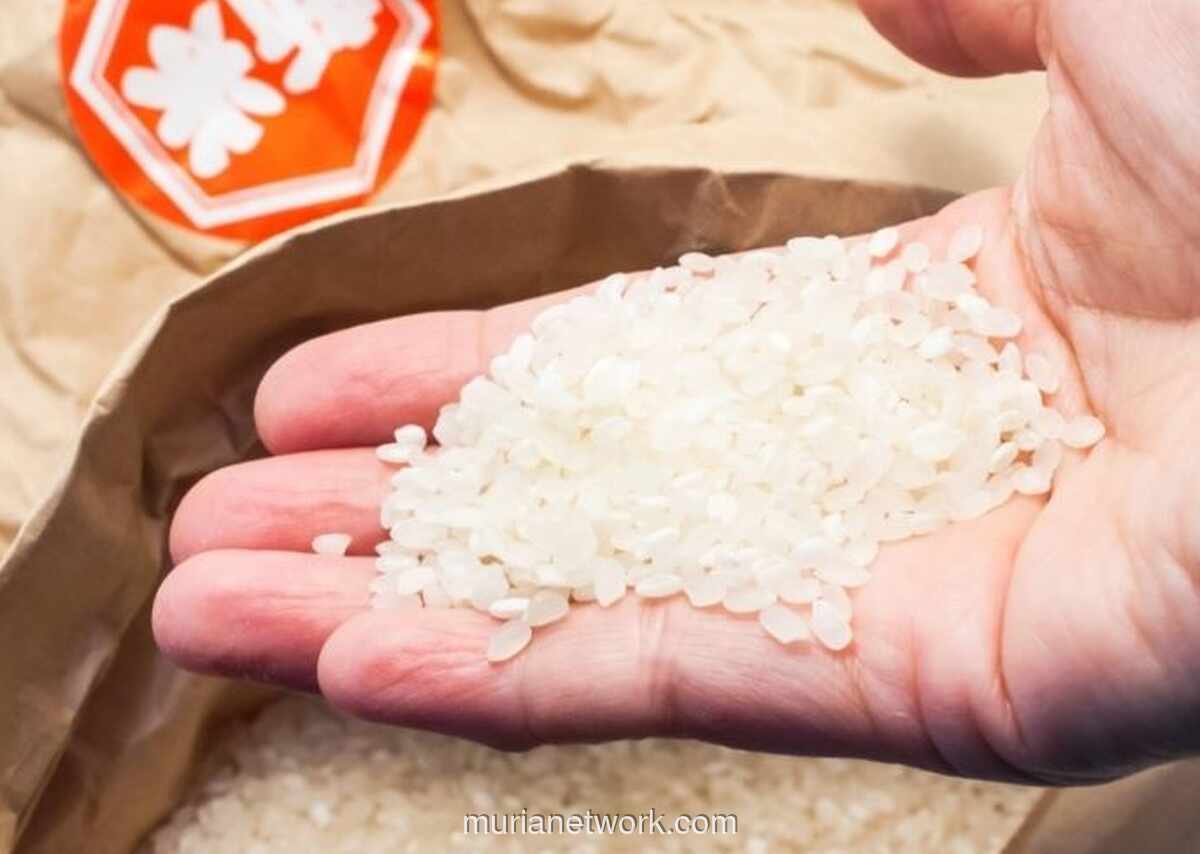 Pemerintah Salurkan Bantuan Beras dan Minyak Goreng ke 33,2 Juta Penerima Jelang Ramadan 2026