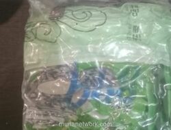 Bareskrim dan Bea Cukai Amankan Pria dan Sabu dalam Operasi di Rokan Hulu