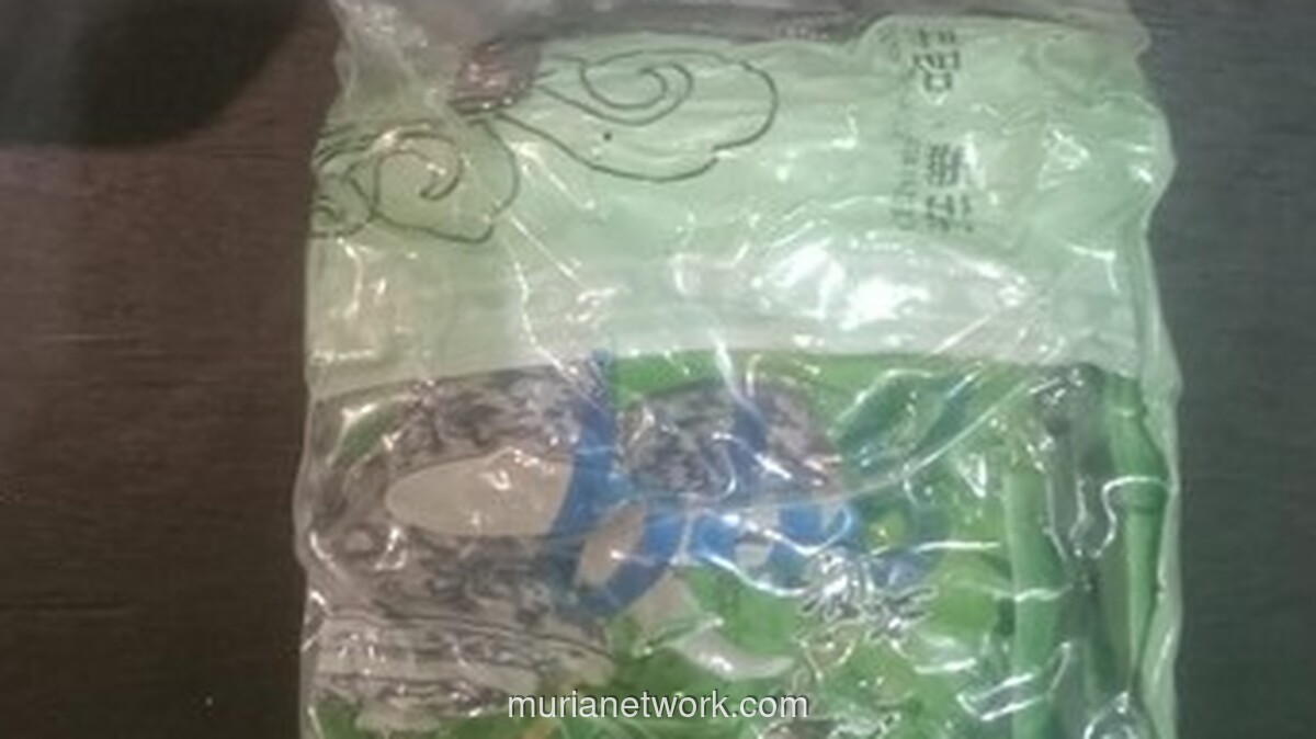 Bareskrim dan Bea Cukai Amankan Pria dan Sabu dalam Operasi di Rokan Hulu