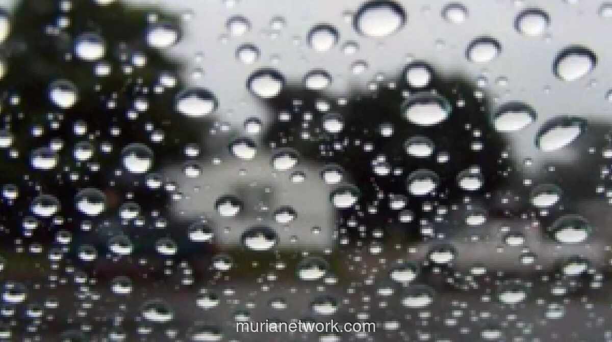 BMKG Prakirakan Hujan Ringan dan Suhu Sejuk di Jabodetabek pada Puasa Hari Kedua