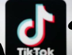 Belanda Tangkap 16 Orang Diduga Sebarkan Propaganda ISIS lewat TikTok