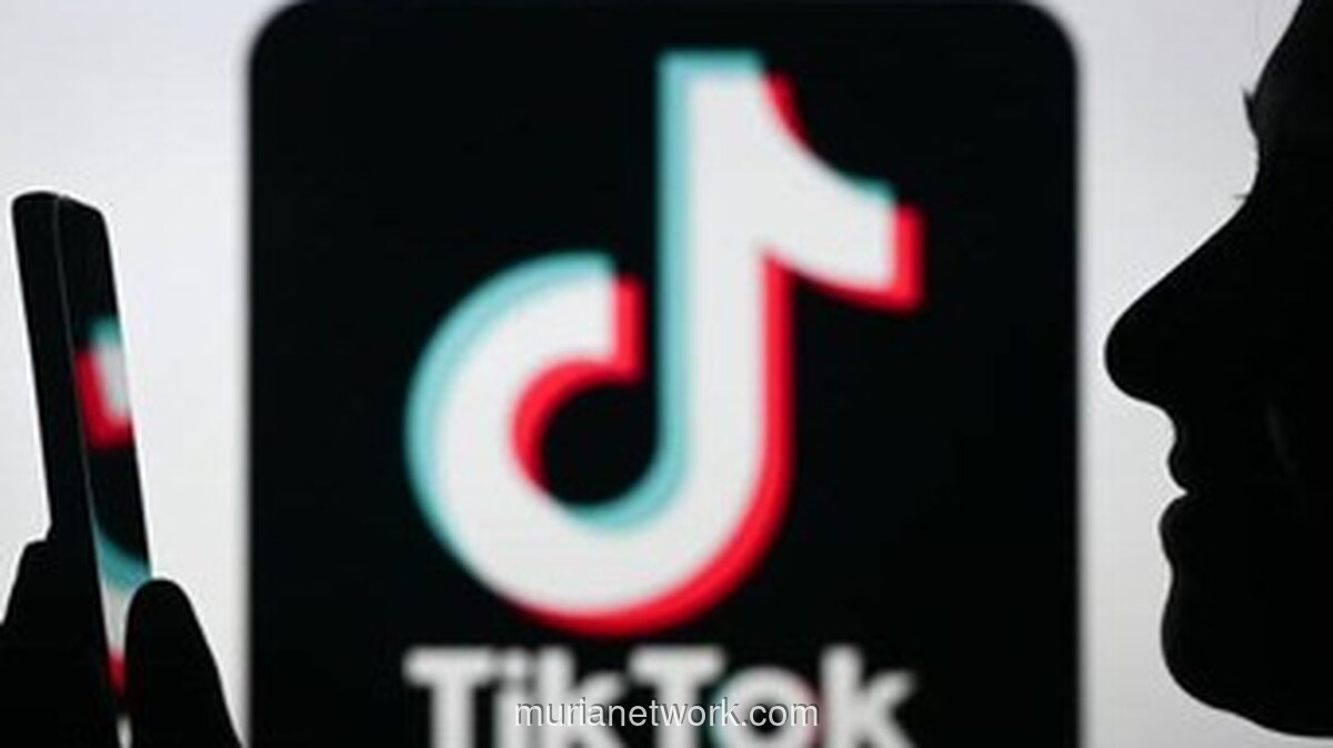 Belanda Tangkap 16 Orang Diduga Sebarkan Propaganda ISIS lewat TikTok