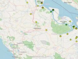 Riau Catat 251 Titik Panas, 139 di Antaranya Terkonsentrasi di Bengkalis