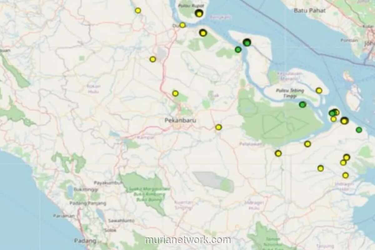 Riau Catat 251 Titik Panas, 139 di Antaranya Terkonsentrasi di Bengkalis