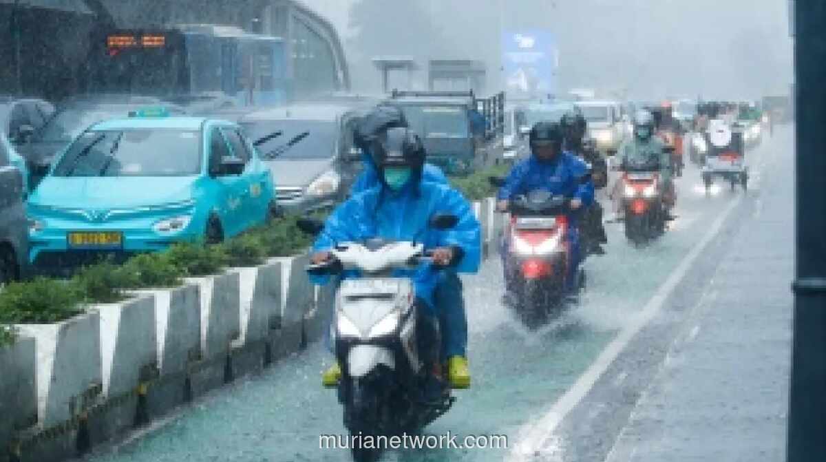 BMKG Peringatkan Hujan Lebat dan Gelombang Tinggi Melanda Sejumlah Wilayah