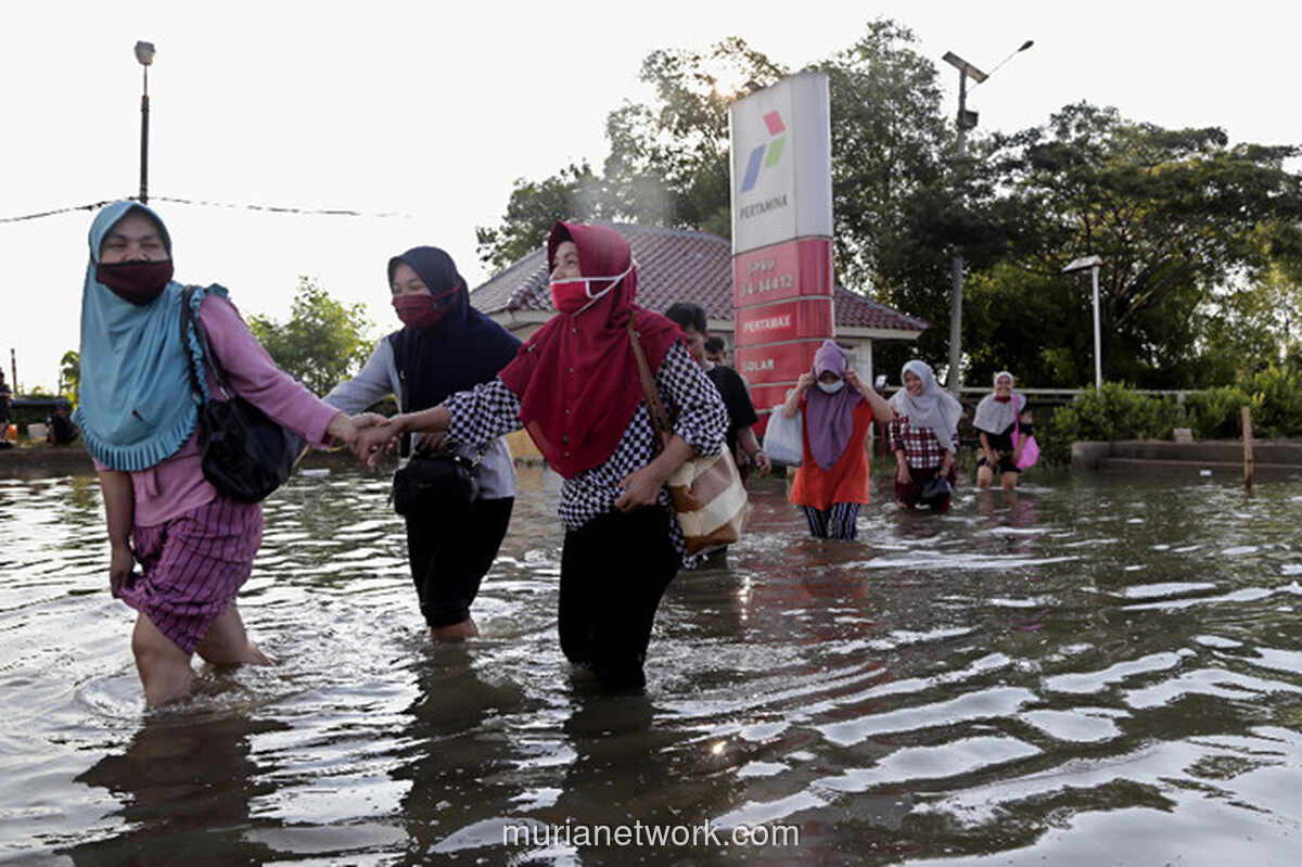 BPBD DKI Jakarta Imbau Warga Pesisir Waspada Banjir Rob 11-16 Februari 2026