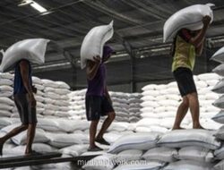 Pemerintah Kaji Cadangan Pangan Siap Santap untuk Tanggap Darurat Bencana