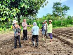 Ipda I Nyoman Subamia Diusulkan ke Hoegeng Awards 2026 Atas Gerakan Pemberdayaan Petani Jahe