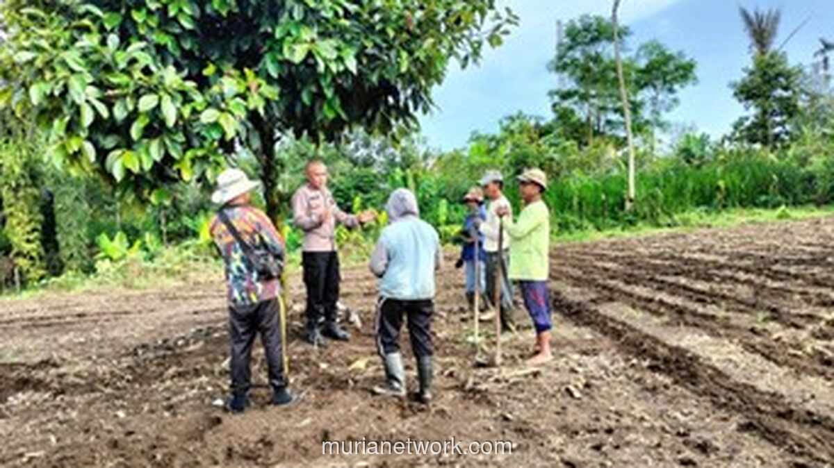 Ipda I Nyoman Subamia Diusulkan ke Hoegeng Awards 2026 Atas Gerakan Pemberdayaan Petani Jahe