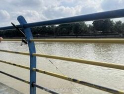 Imbauan Dinkes Tangerang Terlambat, Warga Sempat Konsumsi Ikan Tercemar Cisadane