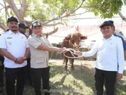 Prabowo Alokasikan Rp72,75 Miliar untuk Bantuan Daging Sapi di Aceh Pascabencana