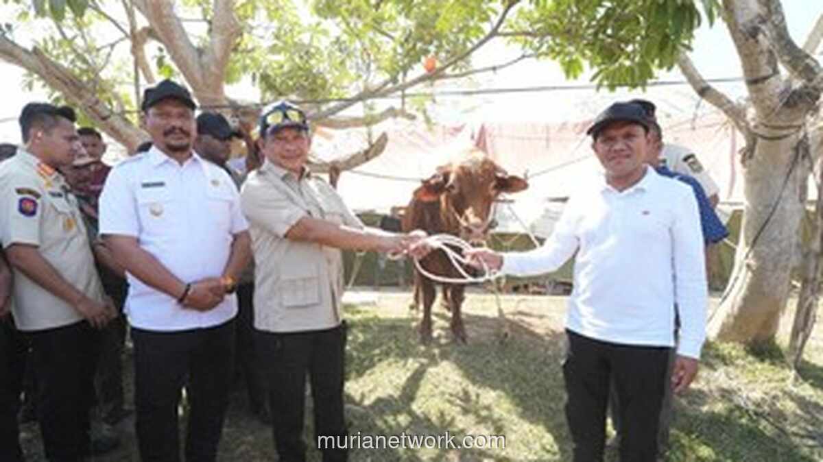 Prabowo Alokasikan Rp72,75 Miliar untuk Bantuan Daging Sapi di Aceh Pascabencana