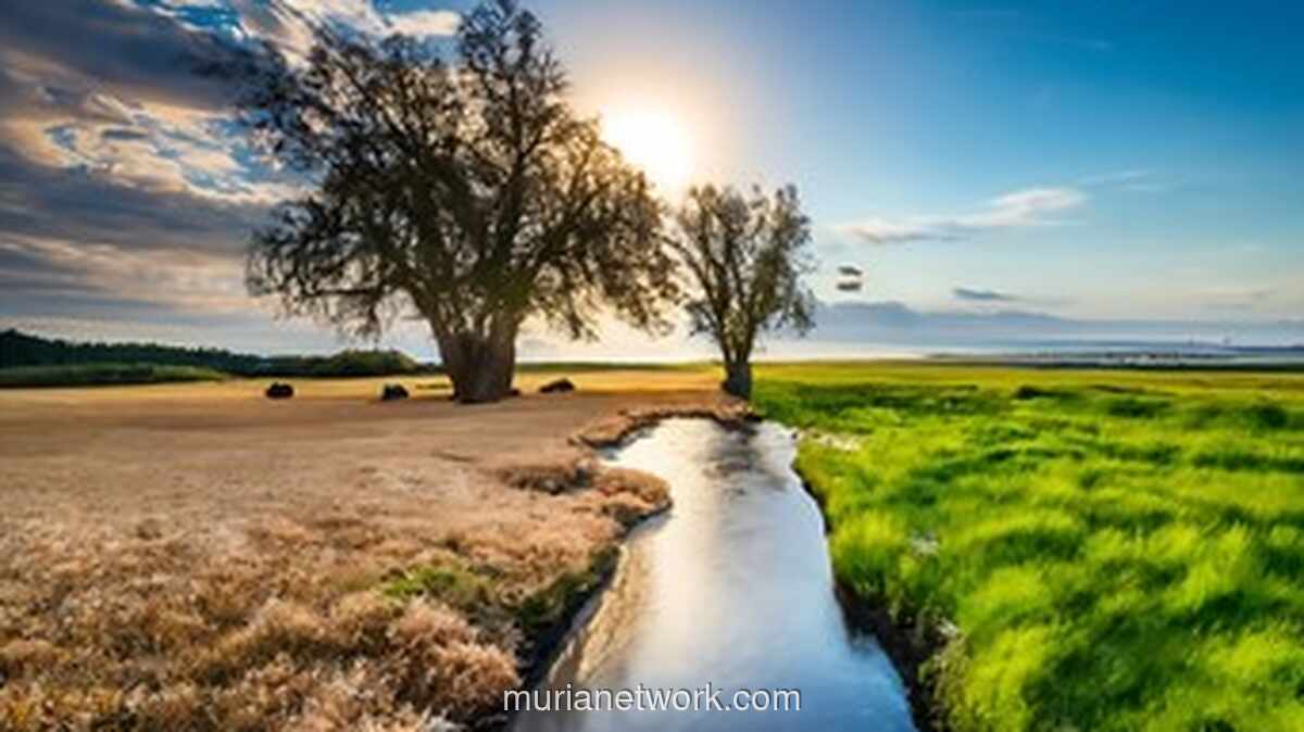 Perubahan Iklim Ancam Stabilitas Ekonomi Makro Indonesia, Kajian MSCI Peringatkan Dampak Berantai