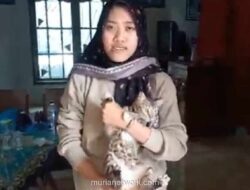 Keluarga Korban Tolak Damai, Tuntut Keadilan untuk Kucing yang Ditendang hingga Tewas di Blora