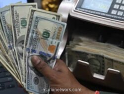 Dolar AS Melemah di Tengah Perbaikan Sentimen Konsumen yang Masih Rapuh
