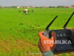 Daerah di Indonesia Genjot Produktivitas Pertanian Sambut Ramadan dan Lebaran 2026
