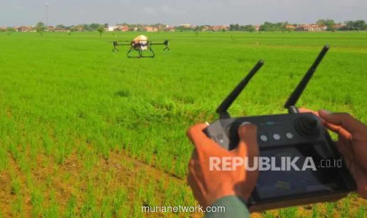Daerah di Indonesia Genjot Produktivitas Pertanian Sambut Ramadan dan Lebaran 2026