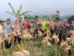 Polisi Bogor Panen Satu Ton Jagung untuk Dukung Program Ketahanan Pangan