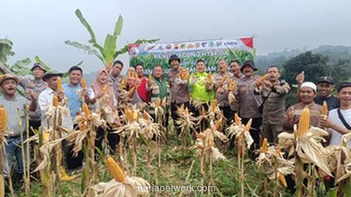 Polisi Bogor Panen Satu Ton Jagung untuk Dukung Program Ketahanan Pangan