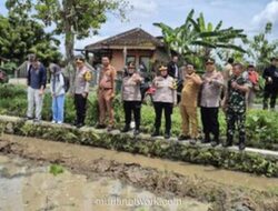 Polres Sukoharjo dan Investor Spanyol Tanam Padi Japonica untuk Kurangi Impor Beras