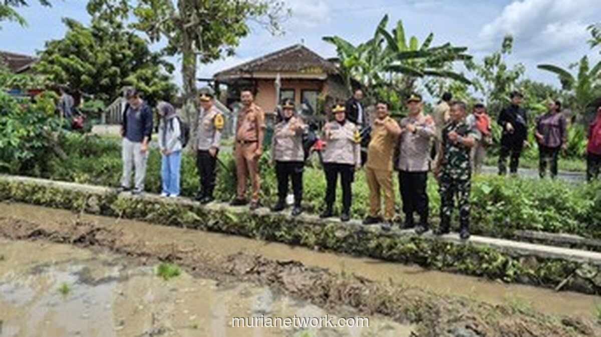 Polres Sukoharjo dan Investor Spanyol Tanam Padi Japonica untuk Kurangi Impor Beras