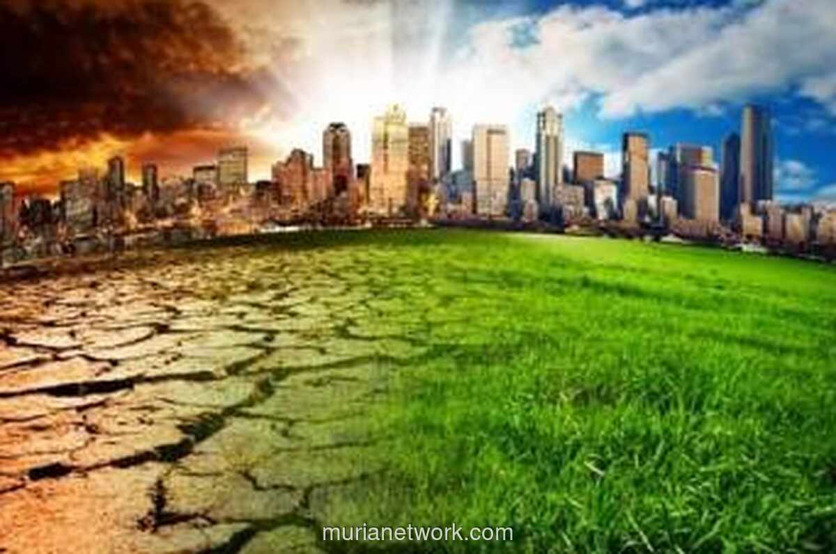 Analisis: Emisi CO2 China Diproyeksi Turun pada 2025 Meski Permintaan Energi Naik