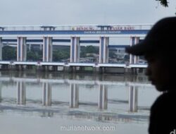 Kebakaran Gudang Pestisida di Tangsel Cemari Sungai Jeletreng, Ikan Mati Mengambang