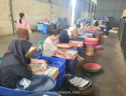 Formasi Desak Relaksasi Regulasi dan Penindakan Rokok Ilegal untuk Dongkrak Penerimaan Negara