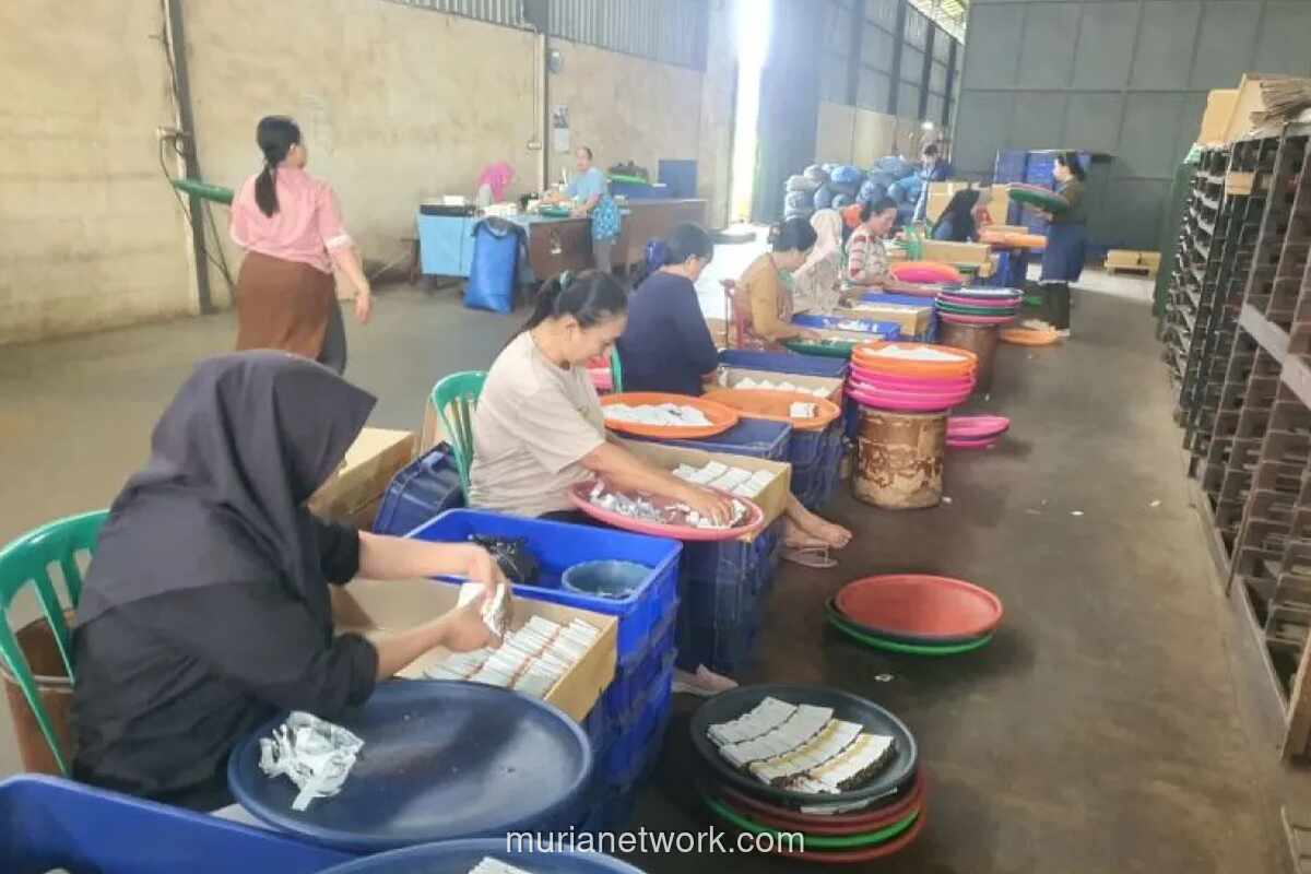 Formasi Desak Relaksasi Regulasi dan Penindakan Rokok Ilegal untuk Dongkrak Penerimaan Negara