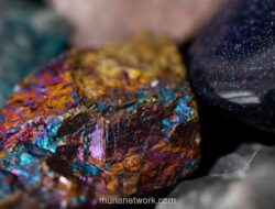Perminas dan Mitra UEA Kembangkan Rantai Pasok Mineral Kritis dari Gabon