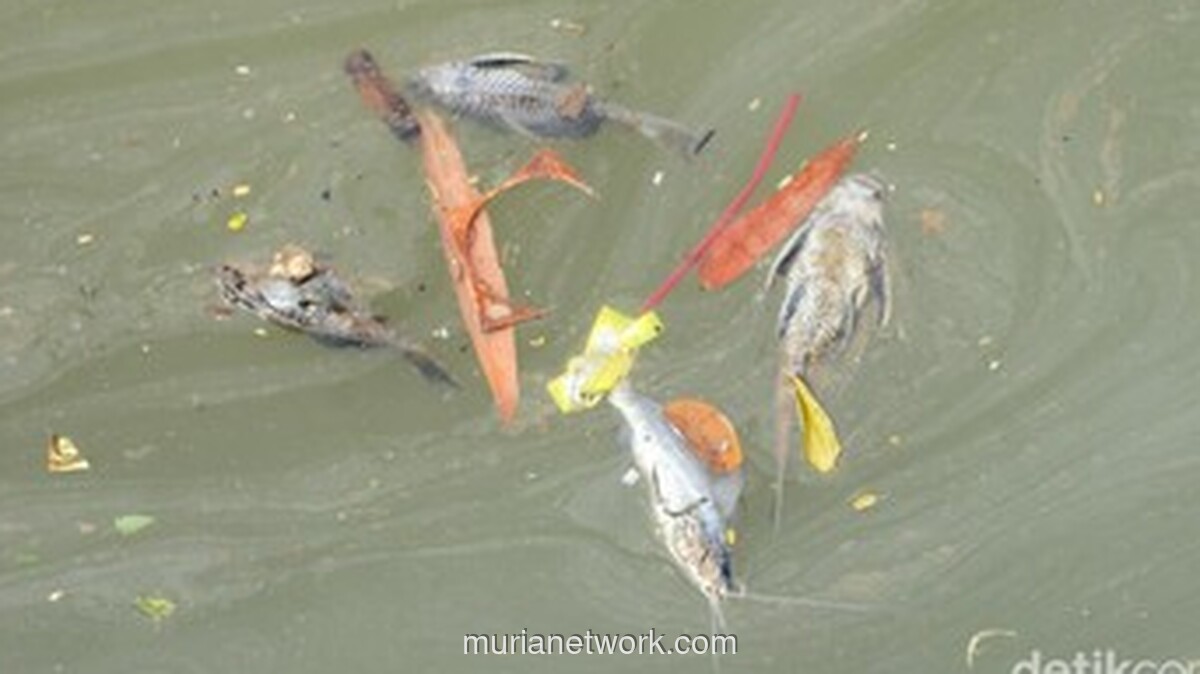 Kebakaran Gudang Pestisida Tangerang Selatan Cemari Sungai, 20 Ton Bahan Kimia Terbakar