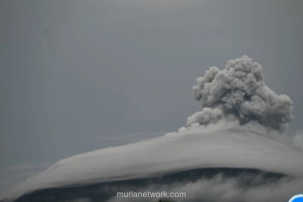 Gunung Ibu Erupsi, Kolom Abu Membubung 300 Meter
