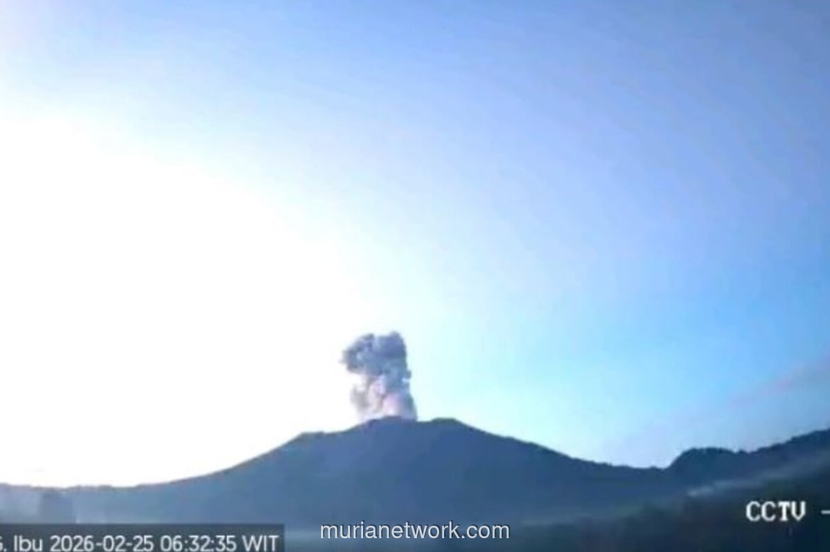 Gunung Ibu di Maluku Utara Erupsi, Luncurkan Kolom Abu 600 Meter