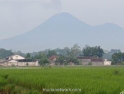 Gunung Semeru Erupsi, Luncurkan Awan Panas Sejauh 6 Kilometer