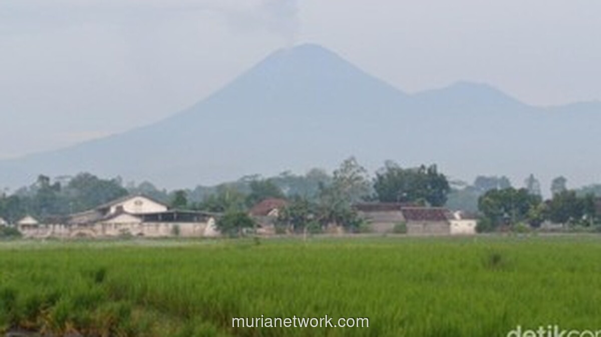 Gunung Semeru Erupsi, Luncurkan Awan Panas Sejauh 6 Kilometer