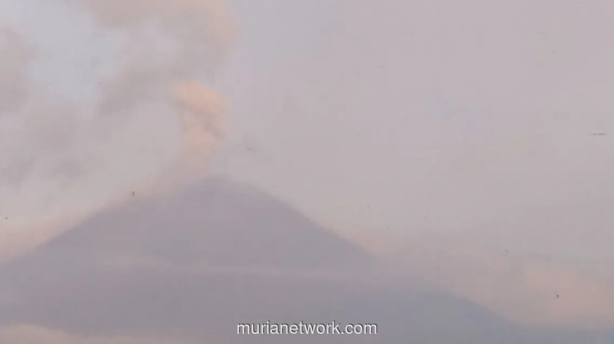 Gunung Semeru Erupsi Tujuh Kali dalam Sehari, Status Siaga Tetap Berlaku