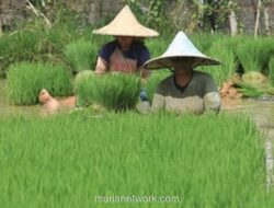 Sentimen Publik Jadi Hambatan Perdagangan Baru yang Sulit Diatasi