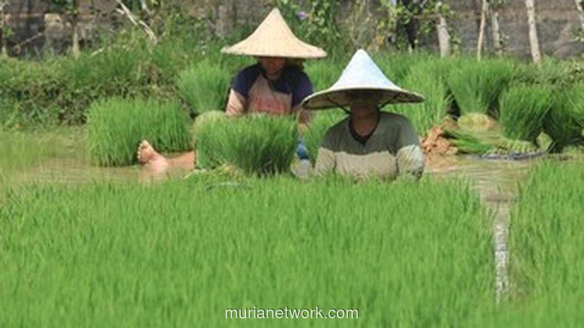 Sentimen Publik Jadi Hambatan Perdagangan Baru yang Sulit Diatasi