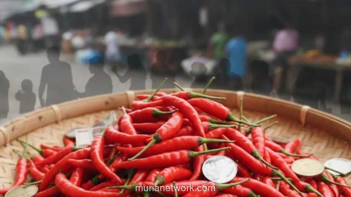 Lonjakan Harga Cabai Rawit Picu Inflasi di 230 Daerah pada Februari 2026